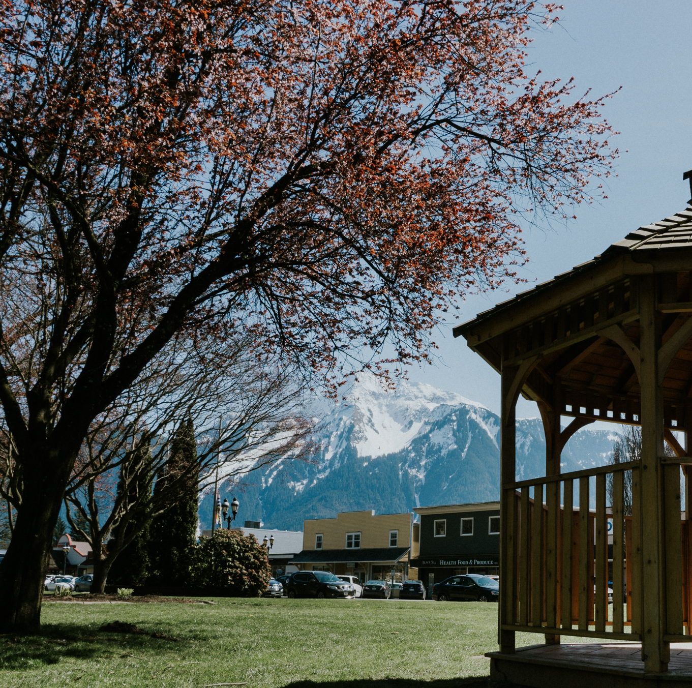 live-work-agassiz